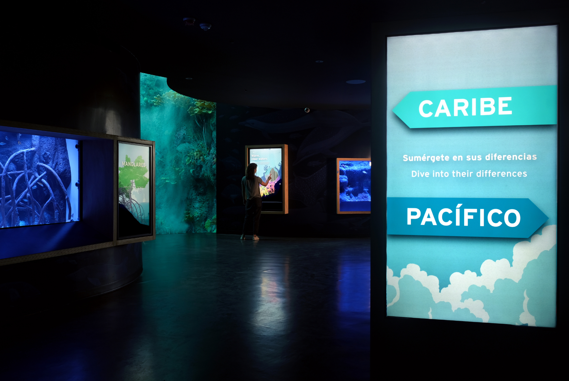 Biomuseo Oceans Divided Exhibit