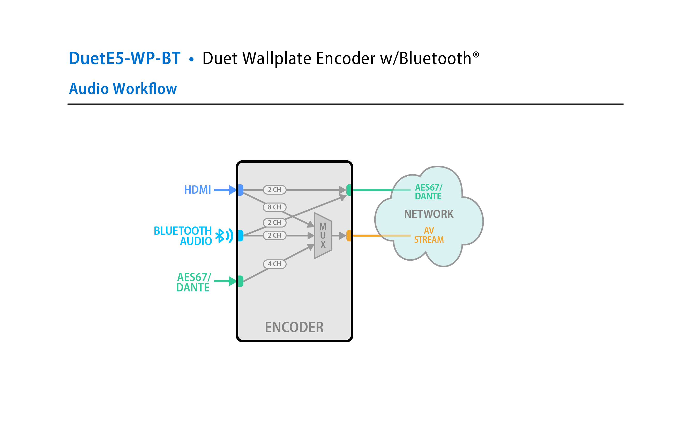 DuetE5-WP-BT Workflow